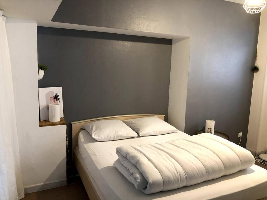 T2 Meuble Pour Curistes, Vacanciers Et Stagiaires Rochefort  Exteriér fotografie